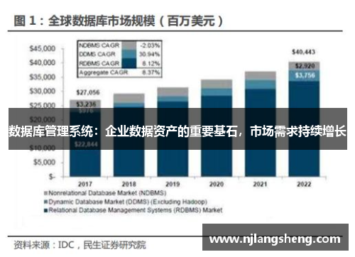 数据库管理系统：企业数据资产的重要基石，市场需求持续增长